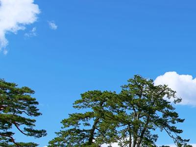 宗近 (46) 広島 萬天堂 / 出張性感マッサージ