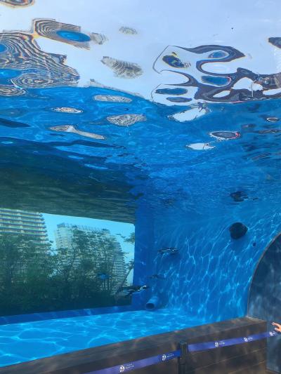 海翔 (30) 千葉 萬天堂 / 出張性感マッサージ