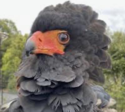 然 (41) 千葉 萬天堂 / 出張性感マッサージ