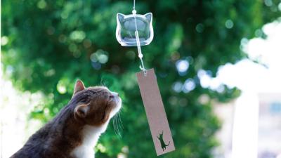 MIYABI (40) 信州 萬天堂 / 出張性感マッサージ