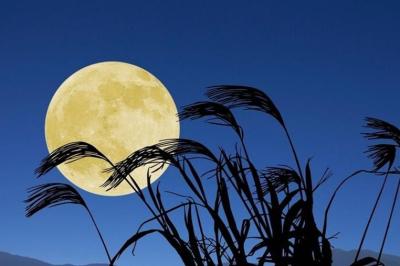 つかさ (31) 京都 萬天堂 / 出張性感マッサージ