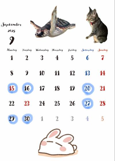 雪兎 (27) 大宮 萬天堂 / 出張性感マッサージ