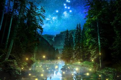 龍生 (47) 大宮 萬天堂 / 出張性感マッサージ