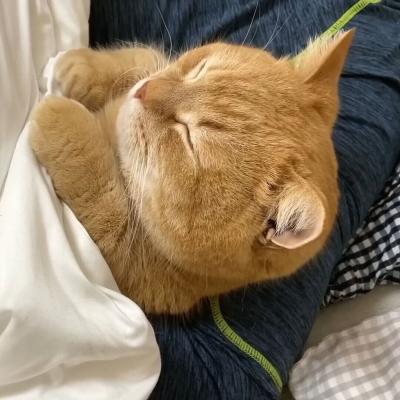 MIYABI (40) 信州 萬天堂 / 出張性感マッサージ