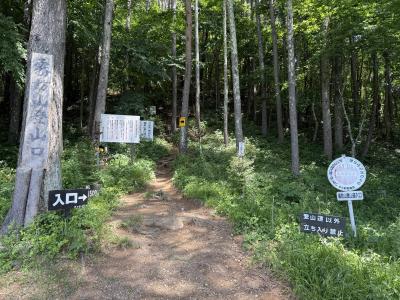 いち (31) 信州 萬天堂 / 出張性感マッサージ