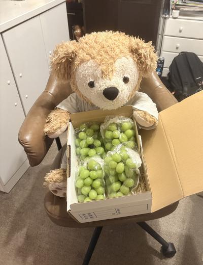 萌 (47) 東京 萬天堂 / 出張性感マッサージ