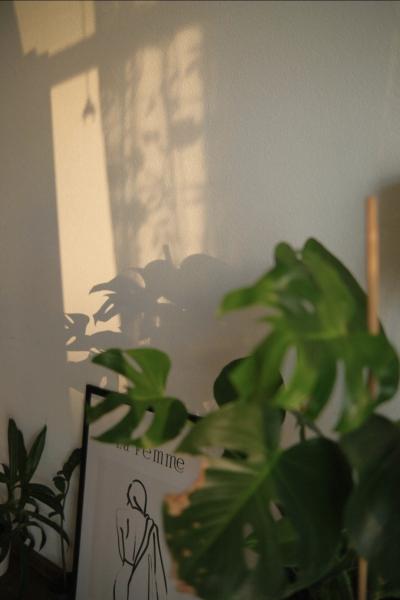 なおと (57) 東京 萬天堂 / 出張性感マッサージ