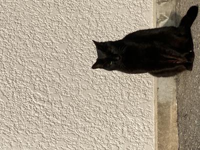 天舞 (29) 福岡 萬天堂 / 出張性感マッサージ