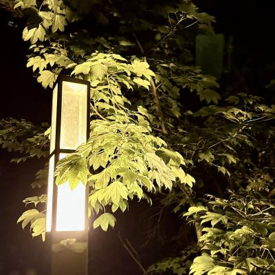 紘 (42) 札幌 萬天堂 / 出張性感マッサージ