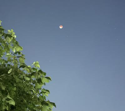 ゆうあ (32) 名古屋 萬天堂 / 出張性感マッサージ