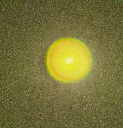 賢人 (32) 大宮 萬天堂 / 出張性感マッサージ