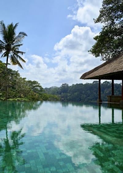 櫻井 (50) 富山 萬天堂 / 出張性感マッサージ