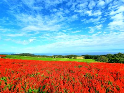 れんと (29) 大阪 萬天堂 / 出張性感マッサージ