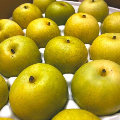 イチマル (39) つくば 萬天堂 / 出張性感マッサージ