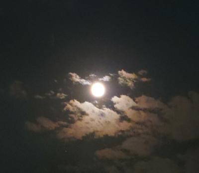 SINKA (50) 東京 萬天堂 / 出張性感マッサージ