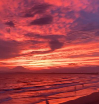 トウジ (32) 大宮 萬天堂 / 出張性感マッサージ