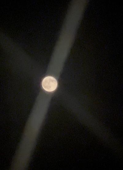 亜呂 (49) 水戸 萬天堂 / 出張性感マッサージ