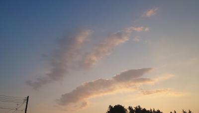 SINKA (50) 東京 萬天堂 / 出張性感マッサージ