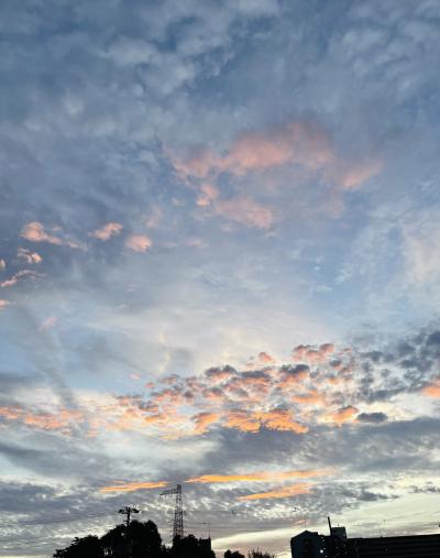 真人 (41) 大阪 萬天堂 / 出張性感マッサージ