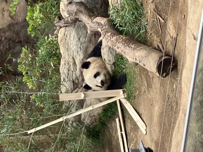 駿 (42) 大宮 萬天堂 / 出張性感マッサージ