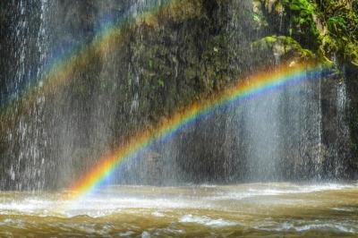 龍生 (47) 大宮 萬天堂 / 出張性感マッサージ