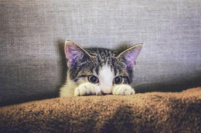 MIYABI (40) 信州 萬天堂 / 出張性感マッサージ