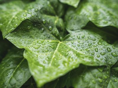 なおと (57) 東京 萬天堂 / 出張性感マッサージ