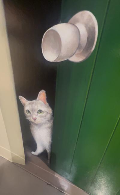 亜呂 (49) 水戸 萬天堂 / 出張性感マッサージ