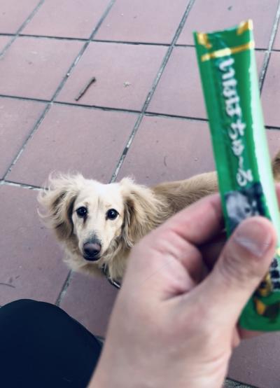 風羽 (34) 京都 萬天堂 / 出張性感マッサージ