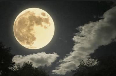 然 (41) 千葉 萬天堂 / 出張性感マッサージ