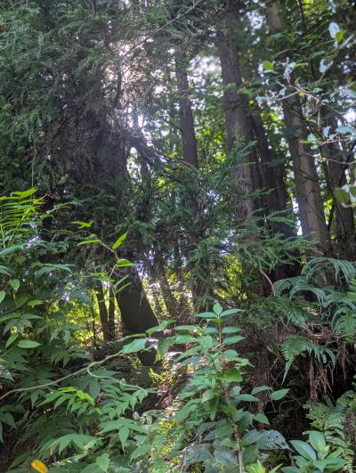 Vivi (33) 福岡 萬天堂 / 出張性感マッサージ