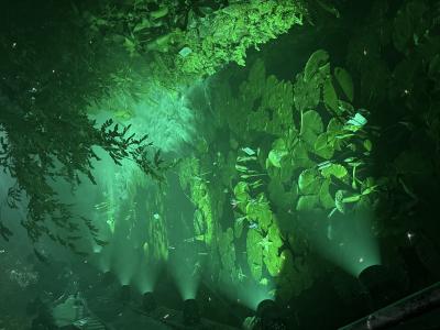 風太 (35) 大阪 萬天堂 / 出張性感マッサージ