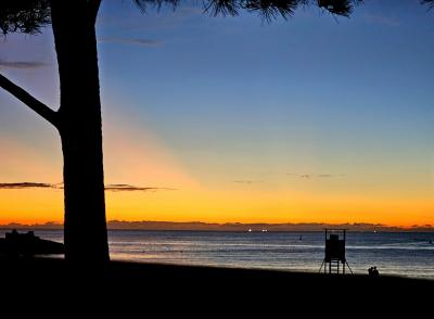 れんと (29) 大阪 萬天堂 / 出張性感マッサージ