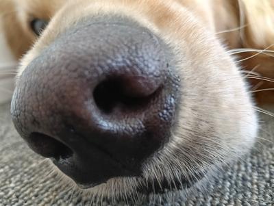 fumiya (46) 鹿児島 萬天堂 / 出張性感マッサージ