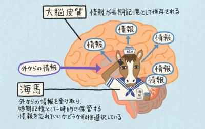 唯人 (44) 仙台 萬天堂 / 出張性感マッサージ