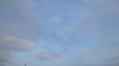 SINKA (50) 東京 萬天堂 / 出張性感マッサージ