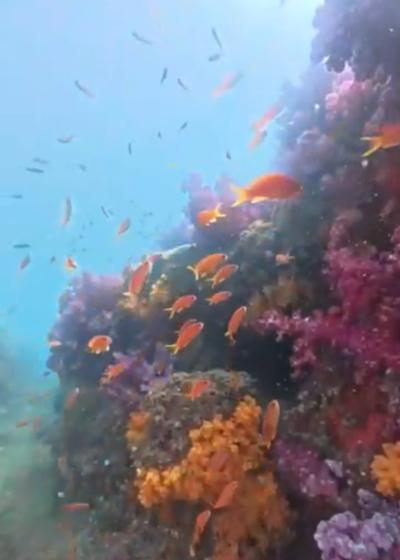 湊 (28) 高松 萬天堂 / 出張性感マッサージ