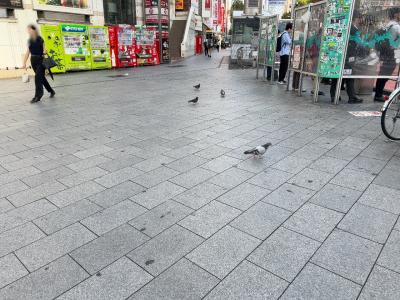 シルク (41) 東京 萬天堂 / 出張性感マッサージ