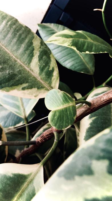 まどか (50) 大阪 萬天堂 / 出張性感マッサージ