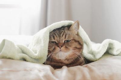 MIYABI (40) 信州 萬天堂 / 出張性感マッサージ