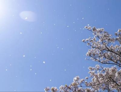 なおと (57) 東京 萬天堂 / 出張性感マッサージ