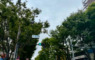 獠 (54) 大宮 萬天堂 / 出張性感マッサージ