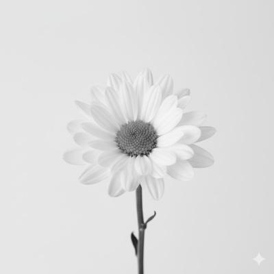 勇耀 (46) 岐阜 萬天堂 / 出張性感マッサージ