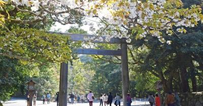 恭介 (48) 京都 萬天堂 / 出張性感マッサージ