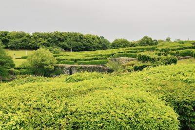 ホシノ (32) 京都 萬天堂 / 出張性感マッサージ