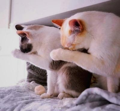 MIYABI (40) 信州 萬天堂 / 出張性感マッサージ