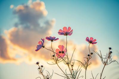 恭介 (48) 京都 萬天堂 / 出張性感マッサージ