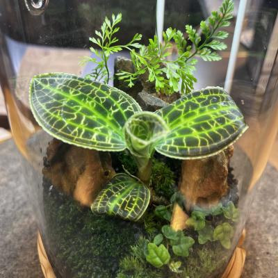 イチマル (39) つくば 萬天堂 / 出張性感マッサージ