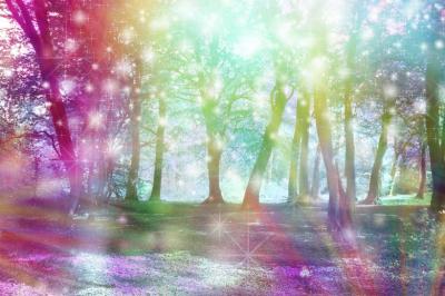 龍生 (47) 大宮 萬天堂 / 出張性感マッサージ