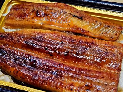 れんと (29) 大阪 萬天堂 / 出張性感マッサージ